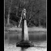 William Wee Photo 18