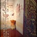Will Chang Photo 16