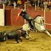 Juan Cordero Photo 12