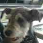 Della Reece Photo 9