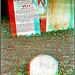 Joseph Cha Photo 22