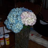 Betty Powers Photo 24