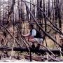 James Chipman Photo 16