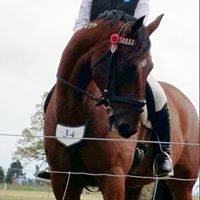 Deanne Carter Photo 9