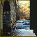 Lithia Mills Photo 4