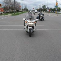 Don Musgrave Photo 3