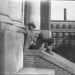 Cecil Mccain Photo 3
