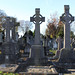 Francis O'Brien Photo 13