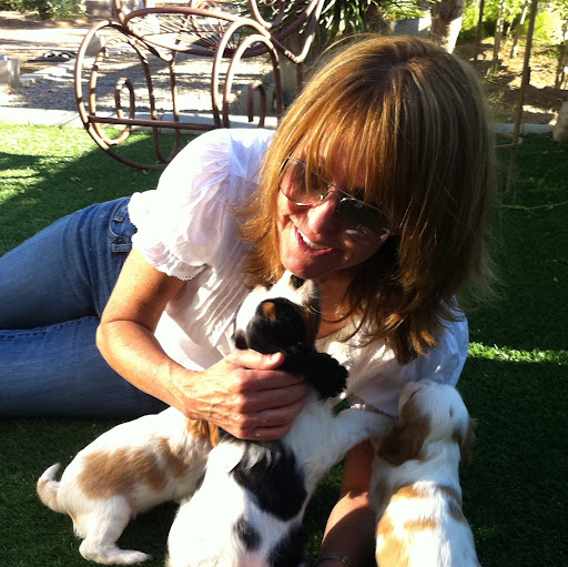 Laura Schrock Photo 25