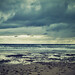 Nicholas Waddell Photo 12