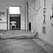 Lynn Lane Photo 42