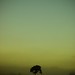 Dawn Simons Photo 23