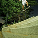 Joe Crooks Photo 29