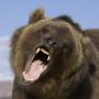 Craig Goodrich Photo 10
