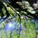 Wade Stone Photo 26