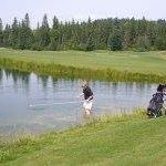 Andy Neufeld Photo 18