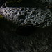 Tina Shedd Photo 14