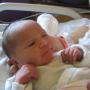 Melissa Perdue Photo 24