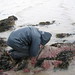Stacy Curl Photo 16