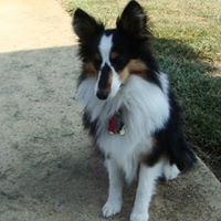 Cheryl Ottinger Photo 4