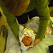 Susan Foresman Photo 13