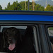Mack Forrester Photo 5