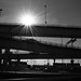 Lazaro Lopez Photo 8