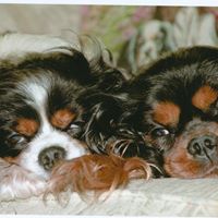 Cheryl Roberts Photo 26