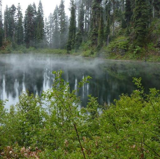 Howard Bell Photo 20