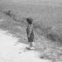 Carol Ward Photo 22