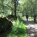 Daniel Ander Photo 12