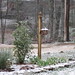 Beth Payne Photo 18