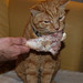 Fred Lamb Photo 28