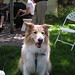 Sherri Lucas Photo 17