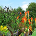 Dorothy Summers Photo 33
