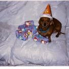 Susan Markle Photo 3