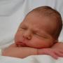 Amy Stovall Photo 12