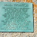 Diana Thornton Photo 16