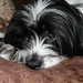 Jan Walters Photo 19