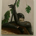Ruth Rauch Photo 9