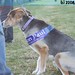 Paul Reagan Photo 39