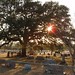 Phillip Sorrell Photo 17