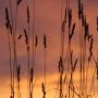 John Cleek Photo 19
