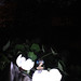 Gwendolyn Flowers Photo 9