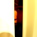Justin Peek Photo 11