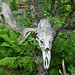 Susan Beaver Photo 29