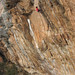 Daniel Tyger Photo 3
