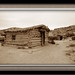 Wesley Wolfe Photo 14