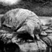 Richard Lamb Photo 34