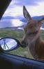 Tony Roberts Photo 18